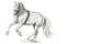 equinjo.de